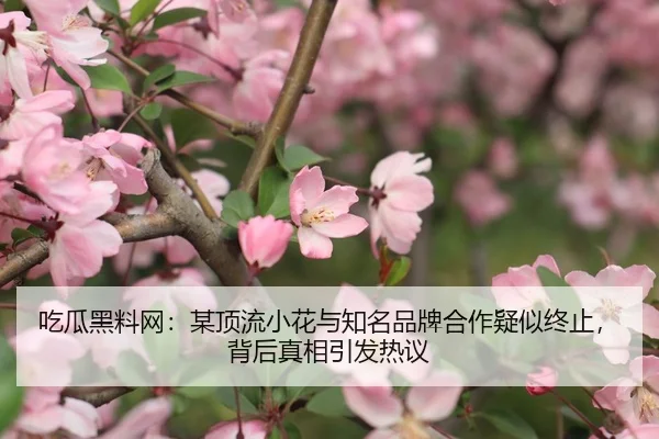 吃瓜黑料网：某顶流小花与知名品牌合作疑似终止，背后真相引发热议